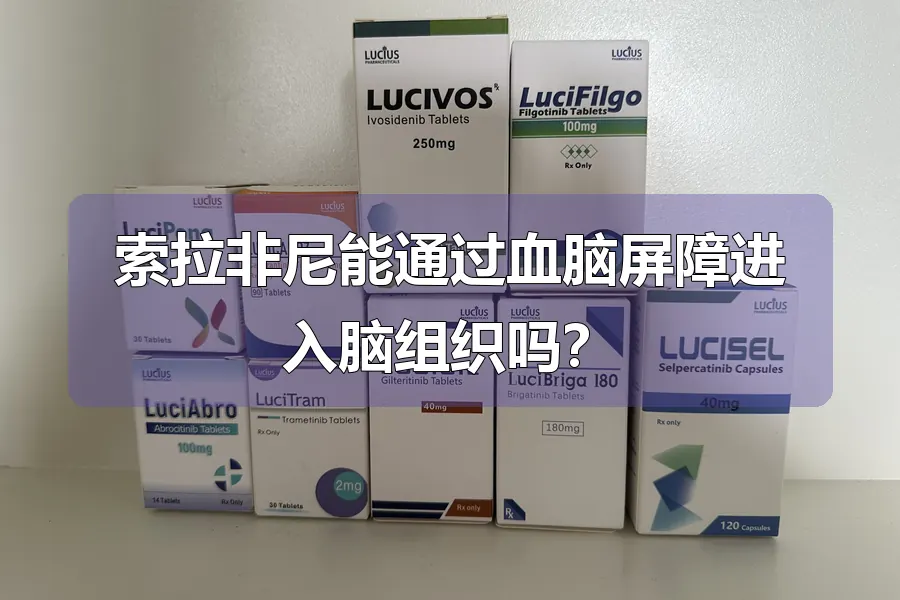 索拉非尼能通过血脑屏障进入脑组织吗?